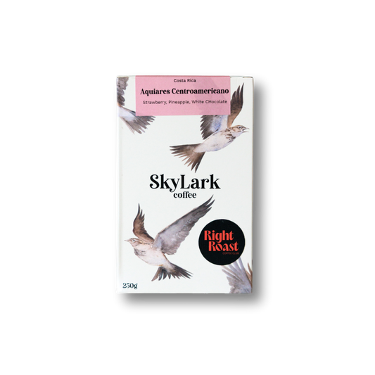 Germany edition 02 / Diego Robelo