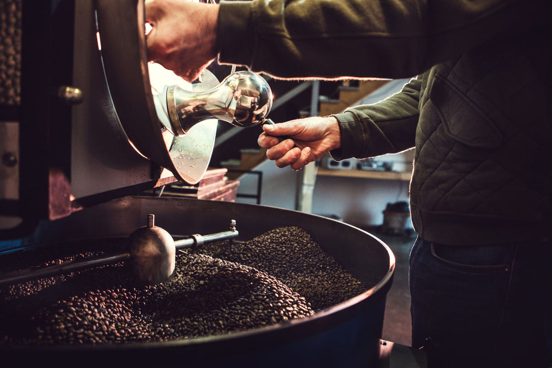 5 Major Coffee Roasting Machine Brands in Specialty Coffee