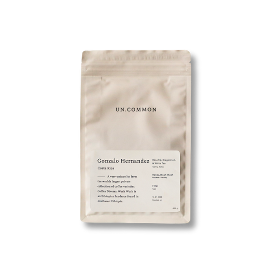 Holland edition 04 / Gonzalo Hernandez (Private Collection Lot)