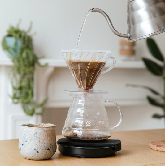 Hario V60 Dripper Plastic Size 02 (Clear)